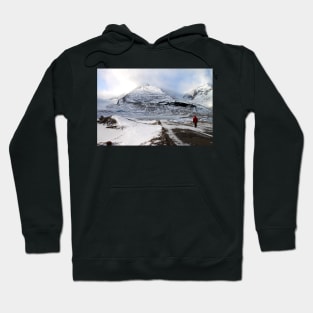 Admiring the View, Jasper, Canada Hoodie